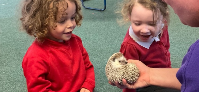 Nursery Visit from the Animal Lady